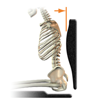 Posterior thoracic support (shape) - too much