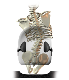 Lateral thoracic support - too low/too shallow