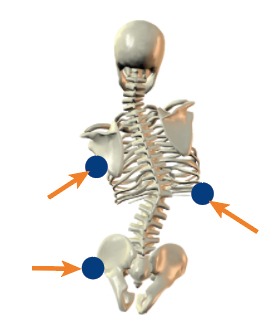 Lateral thoracic support - Three point control